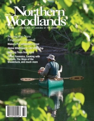 Issue 77: Summer 2013 | Products | Back Issues