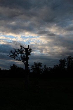 Summer Sky Photo: Dave Mance III