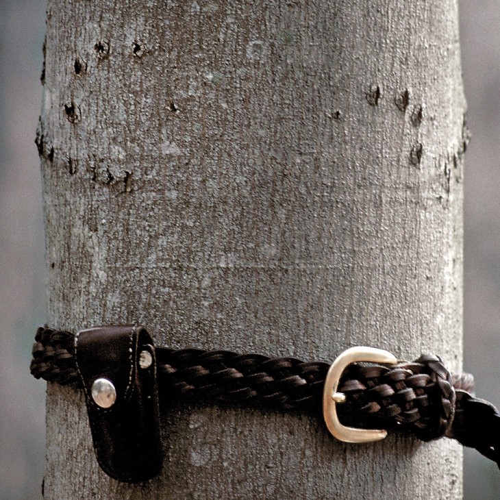 Tracking Tips: Fishers Aren't Cats 4