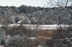 Winter landscape Photo: Judy Sweet