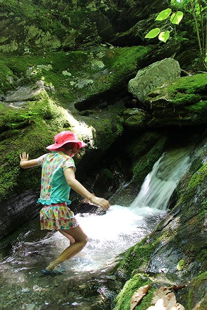 A Swimming Hole in the Woods