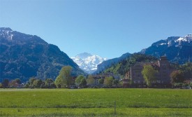 swiss_forest_knot_aut18.jpg thumbnail