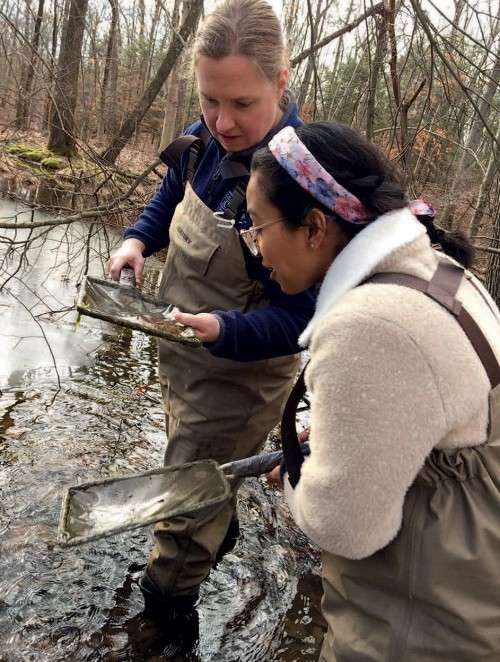 Tadpole samples