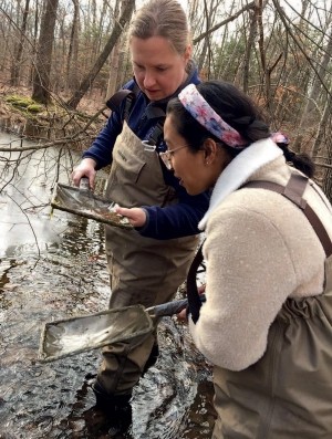 Managing Vernal Pools thumbnail