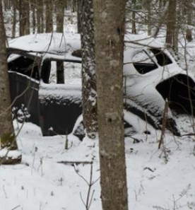 tenney_swamp_car800.jpg thumbnail