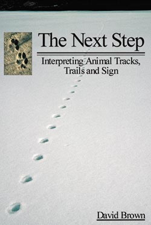 the-next-step-cover.jpg