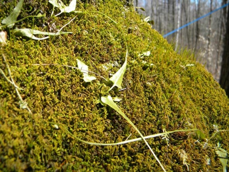 these_days.jpg Image