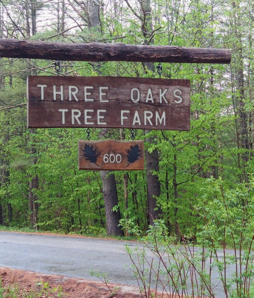 Tending the Future at Three Oaks Tree Farm