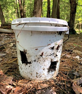 Tick enclosure thumbnail