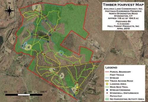 Timber harvest map