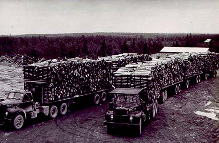 Logging trucks