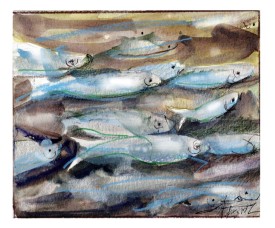 Alewife run thumbnail