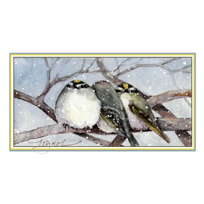 Golden crowned kinglet cover  by Adelaide Tyrol