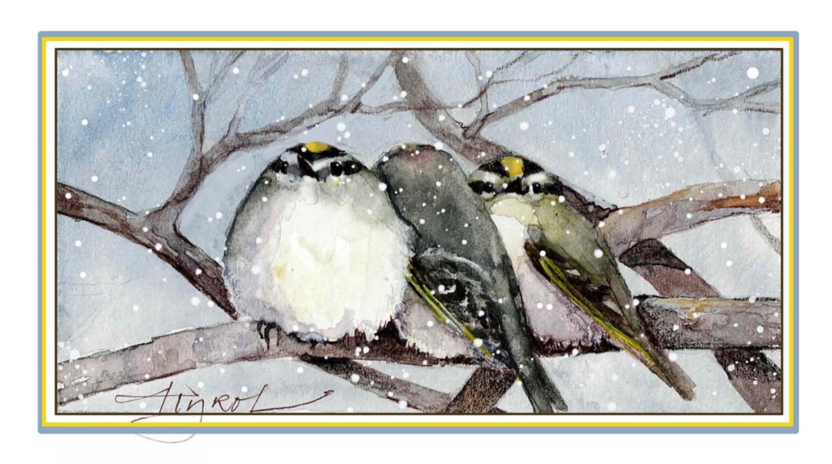 Golden crowned kinglet