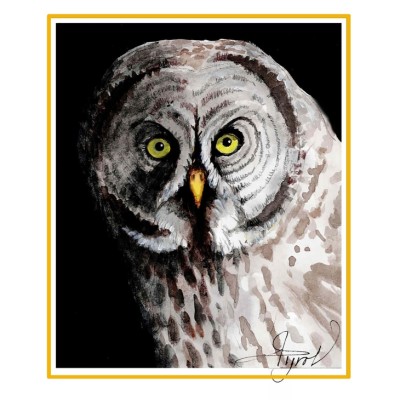 Great gray owl cover  by Adelaide Tyrol