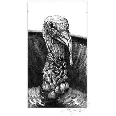 Wild turkey cover  by Adelaide Tyrol