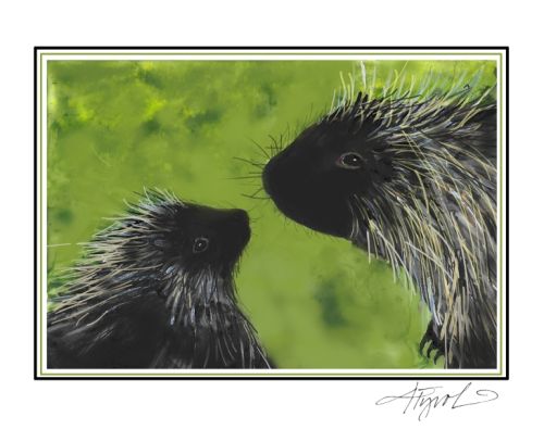 Porcupette