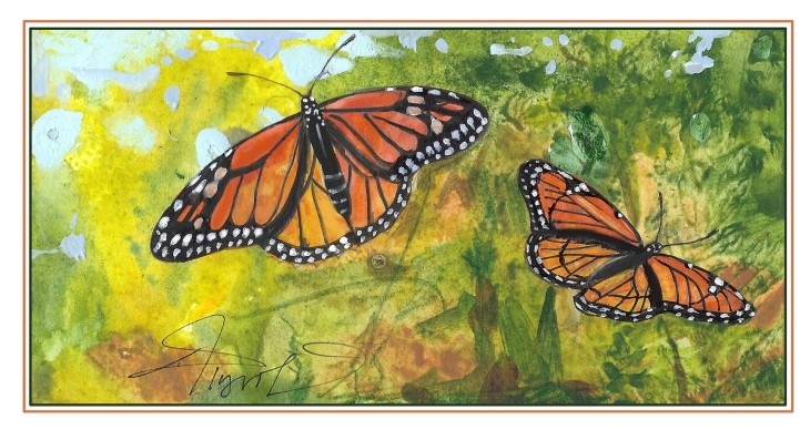 Butterflies