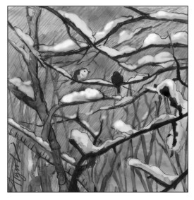 Shelter for birds thumbnail