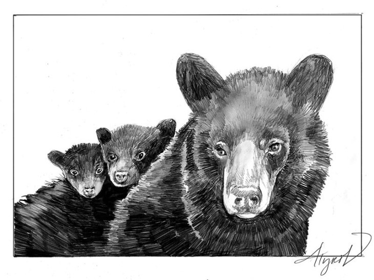 TOS_BlackBearBabies_web.jpg