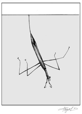 TOS_Brown_Water_Scorpion_web.jpg thumbnail