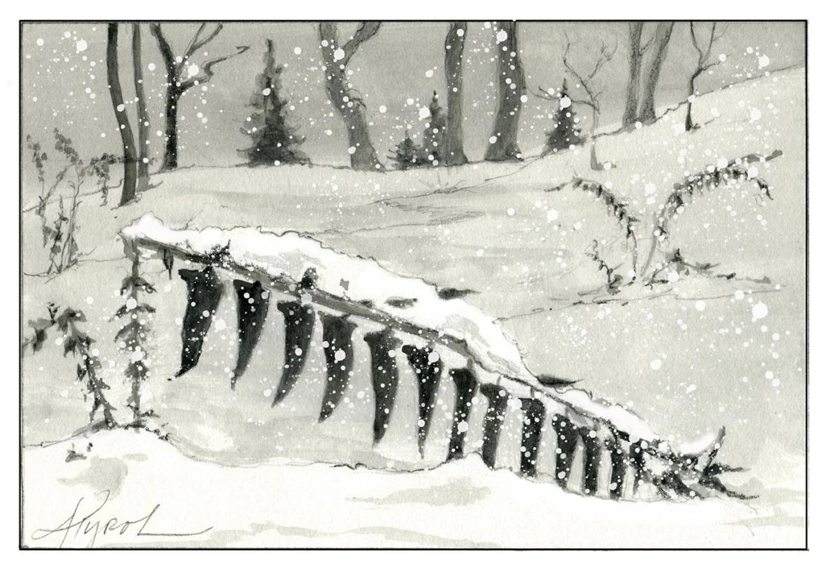 Christmas fern