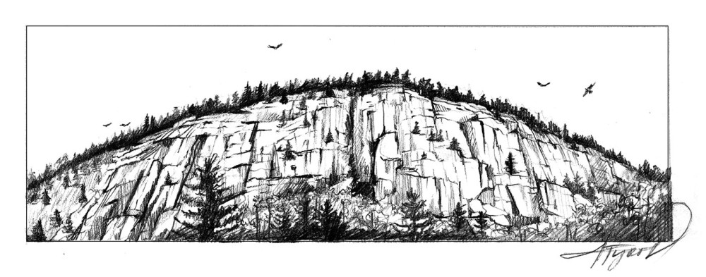 Cliffs Host Varied Flora and Fauna thumbnail