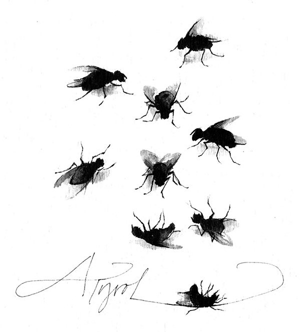 Cluster Flies