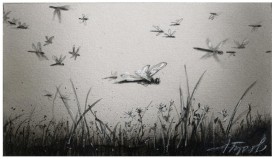 Dragonfly migration thumbnail