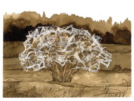 TOS_Ermine_Spindle_web.jpg thumbnail