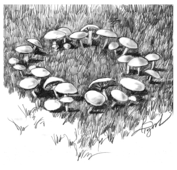 Of Fungi and Fairy Rings