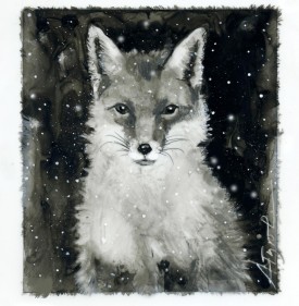 tos_fur_fox_web.jpg thumbnail