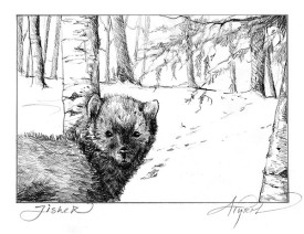 TOS_GameCamera_web.jpg thumbnail