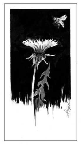 TOS_Honey_bees_w.jpg thumbnail