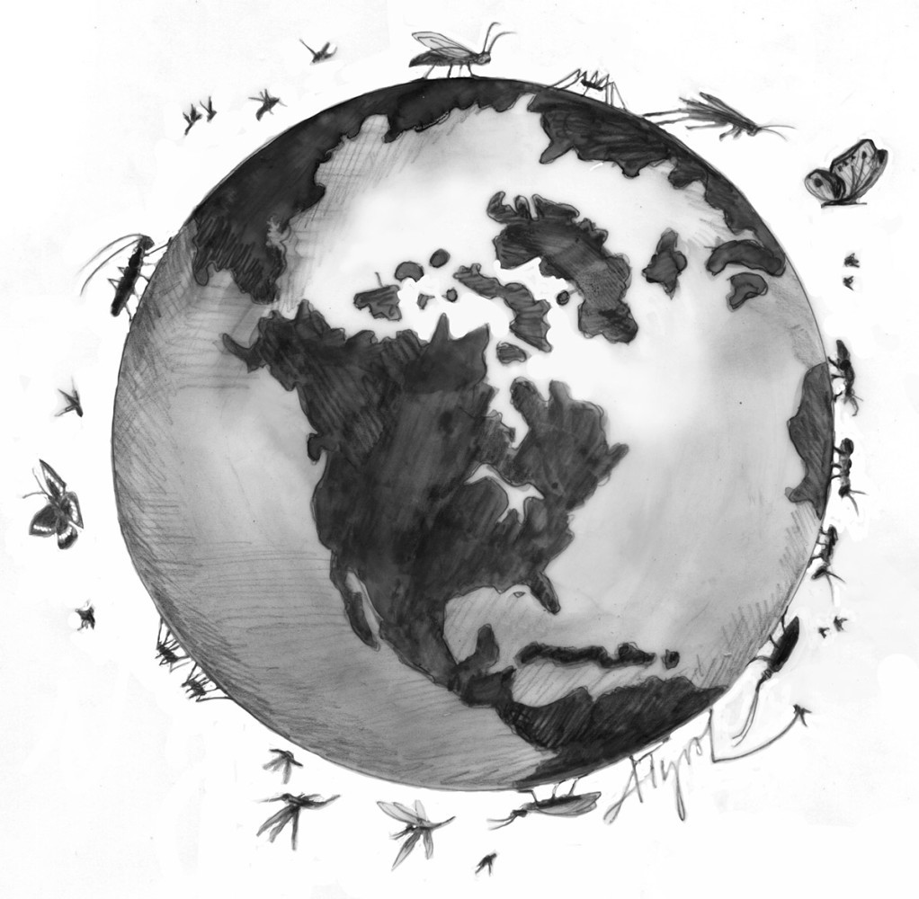 Insects Around the World