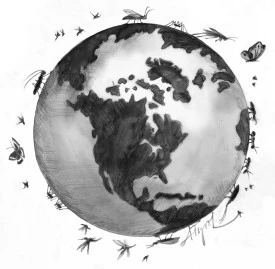 Insects Around the World thumbnail