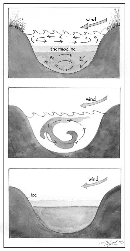 Lake Turnover