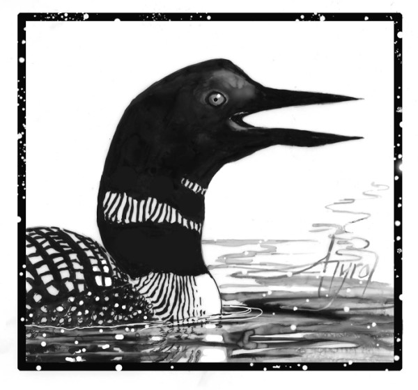 Loon Vocalizations: More Than Meets the Ear