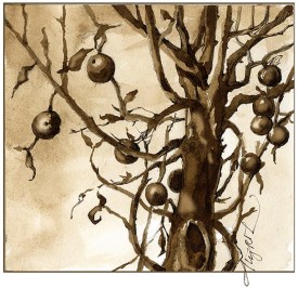 TOS_Old_heirloom_apple_web.jpg thumbnail