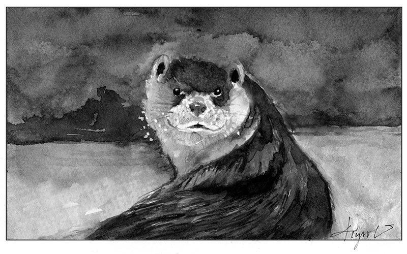 River Otters – Strong Swimmers thumbnail