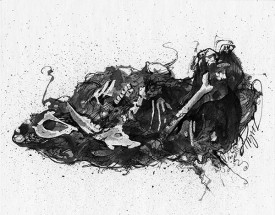 TOS_Owl_Pellet.jpg thumbnail