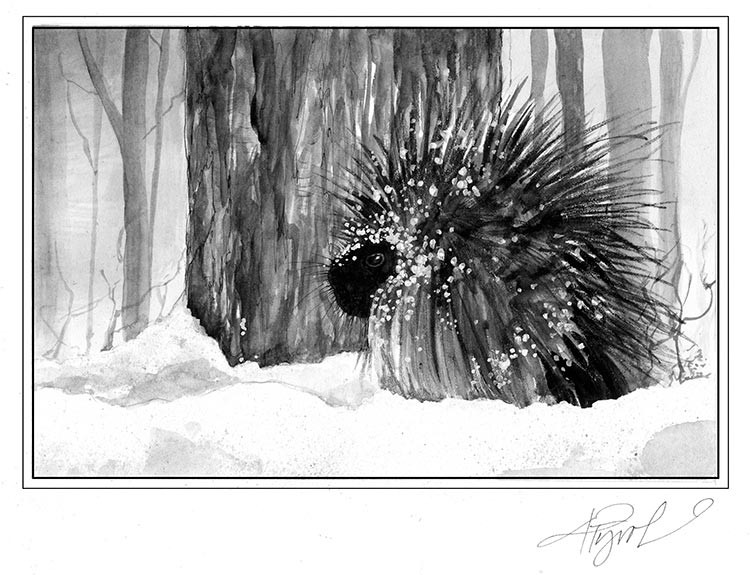 The Porcupine thumbnail