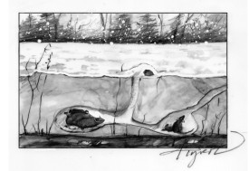 Snow cover thumbnail