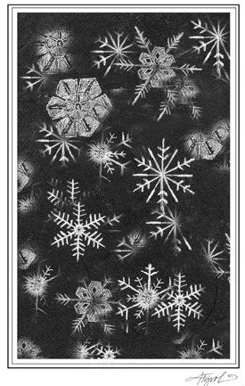 Snowflakes thumbnail