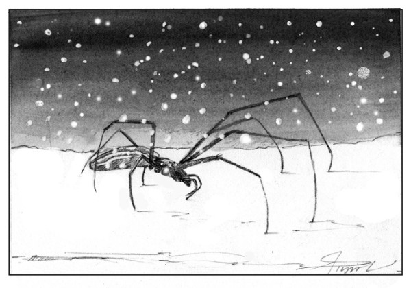 Snow Spiders: Rule-breakers