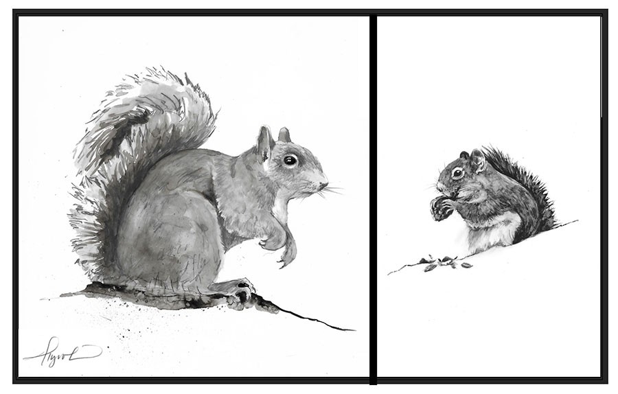 The Sociable Gray Squirrel thumbnail