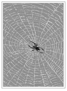 TOS_Web_w.jpg thumbnail