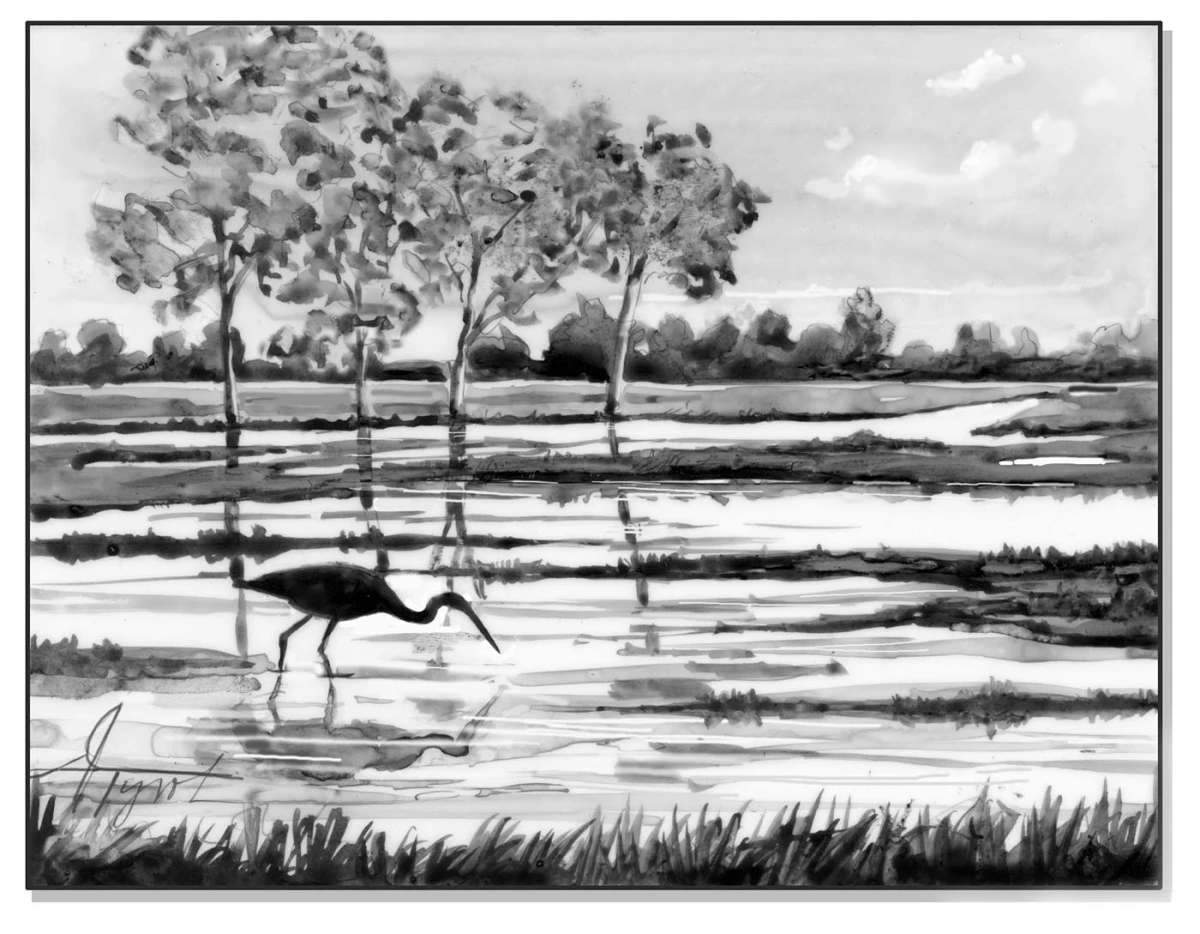 Wetlands