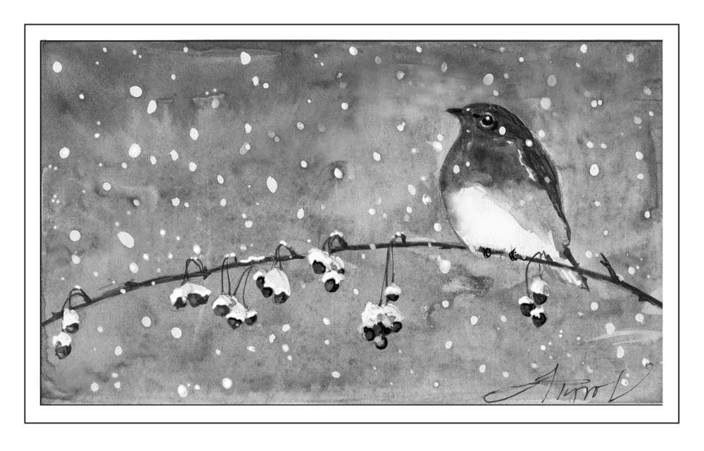 Bluebirds in Winter thumbnail