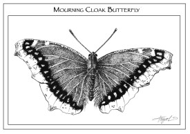 Mouring Cloak thumbnail